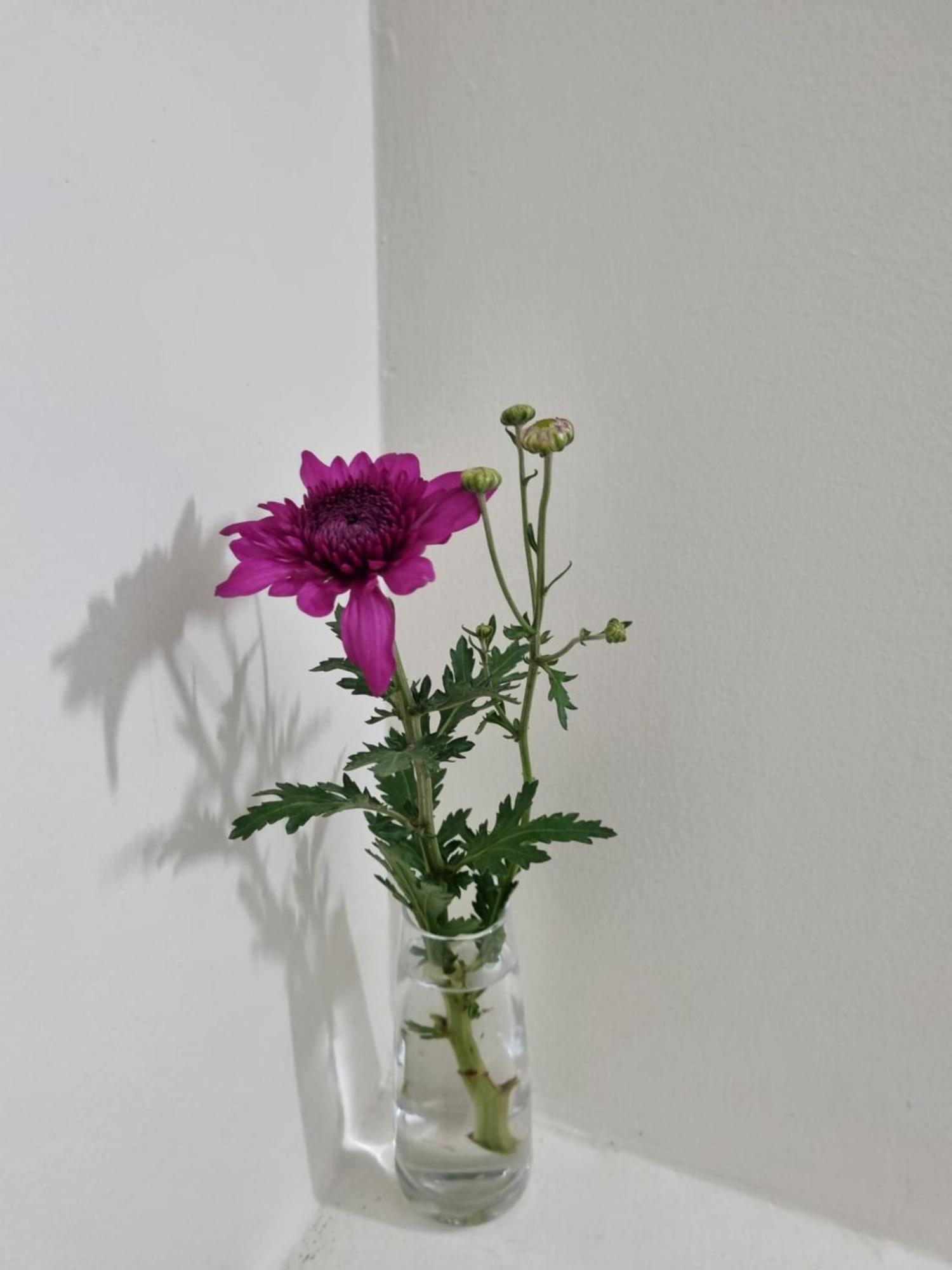 May'S Cottage Hanoi Zimmer foto
